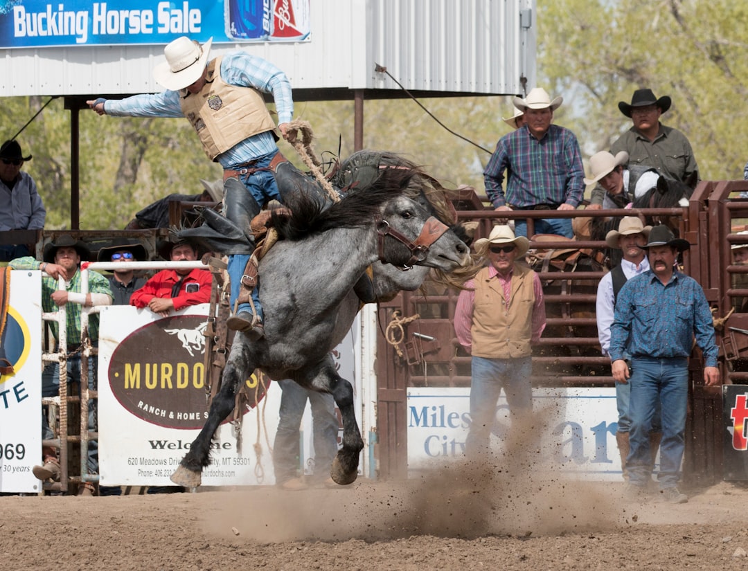 Riding the Mechanical Bull: A Wild Adventure